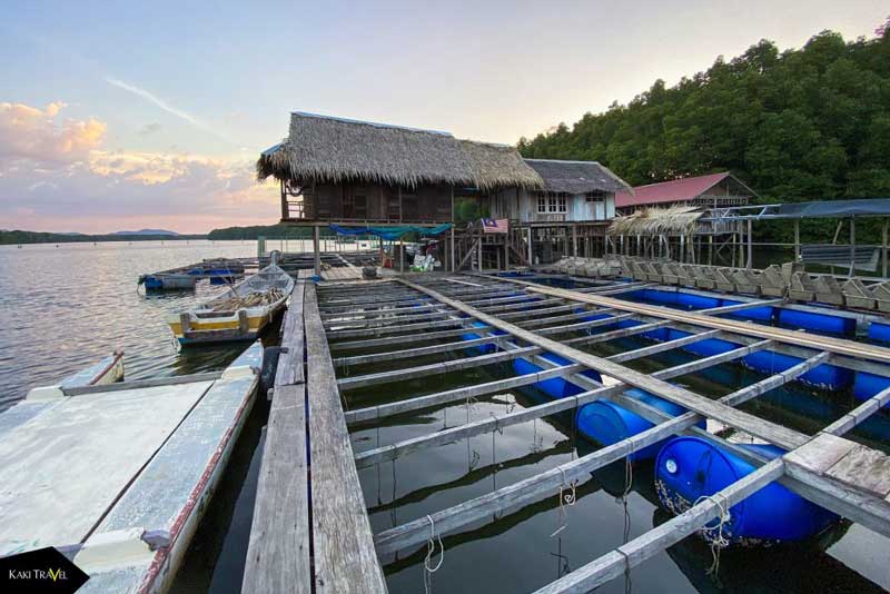 oyster farm